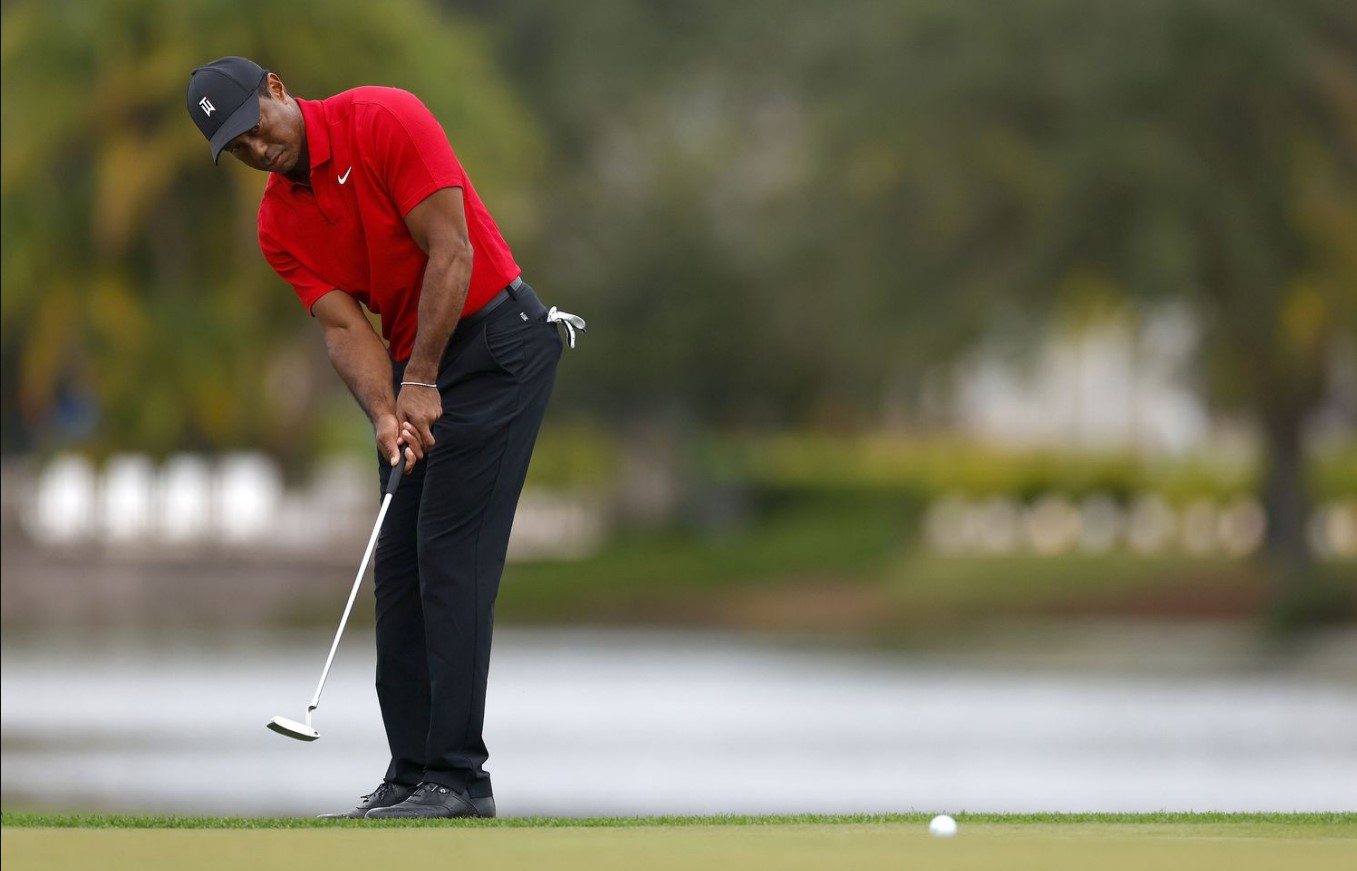 Tiger Woods' Dominance on the Golf Course Courtesy: Investopedia